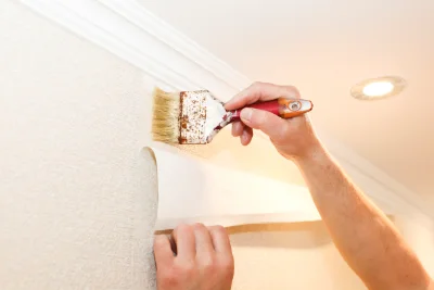 Pose de papier peint à Roubion — revêtements muraux et toiles de verre